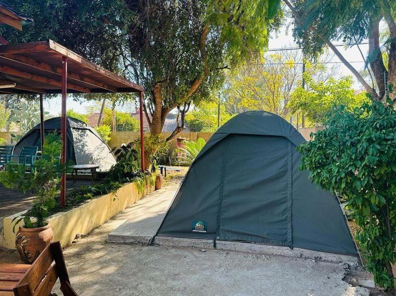 Birdville Bnb Guest House ハボローネ エクステリア 写真