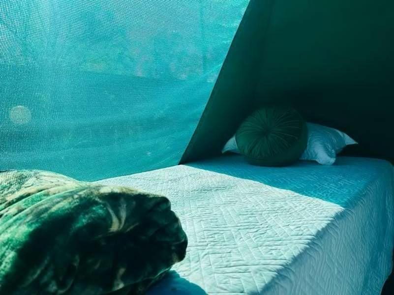 Birdville Bnb Guest House ハボローネ エクステリア 写真